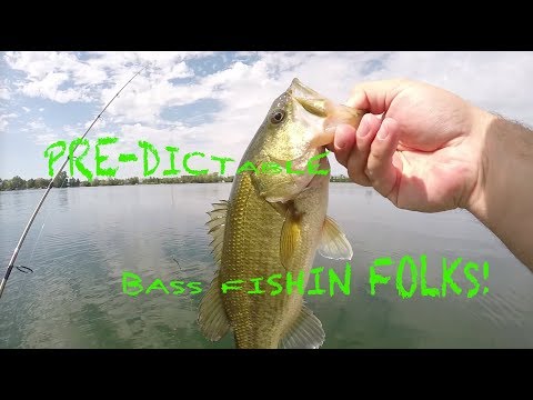 bass fishing on the boat 