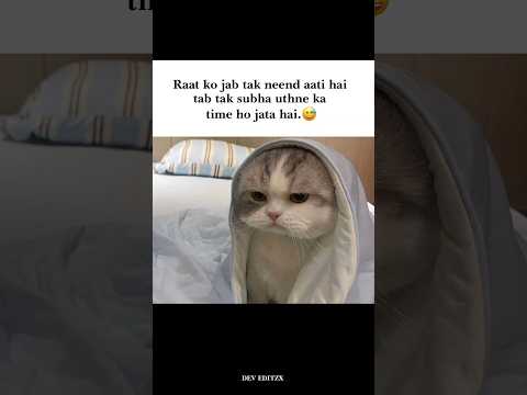 Raat #memes #popular #viral #funnymemes #explore #tweetreels