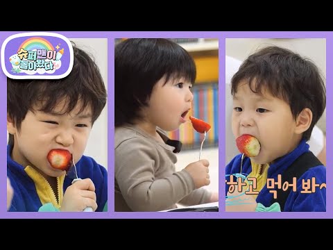 [김준호&심형탁네] 하루의 생애 첫 딸기 먹방! 은우♥정우를 따라 포크를 든 하루! [슈퍼맨이 돌아왔다/The Return of Superman] | KBS 260311 방송