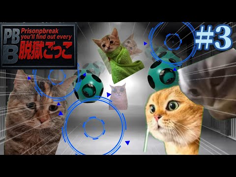 【猫ミーム】脱獄ごっこをすることになった猫たちの物語 第3話