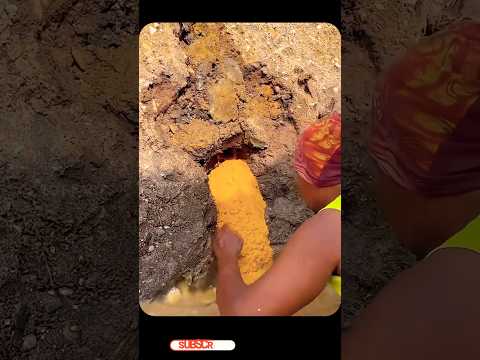 Gold Soil ll గోల్డ్ సాయిల్ ll TOT FACTS