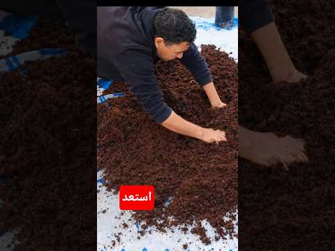 ازرع فيها اي نبات بقلب جامد