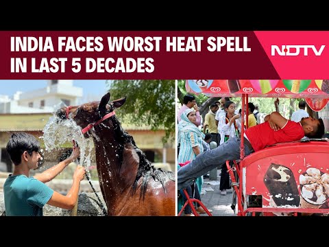 Severe Heat Wave Conditions Persist: Daytime Unbearable, Nights Terrible