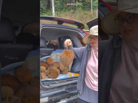 PENGHUJUNG MUSIM DURIAN | REZEKI KEBUN