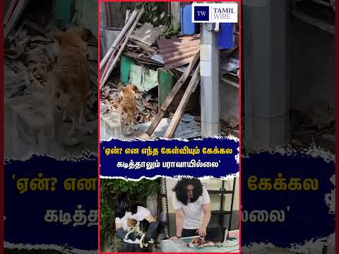 'ஏன்? என எந்த கேள்வியும் கேக்கல கடித்தாலும் பராவாயில்லை' #Dog #Dogs #Pets #Petanimals #animallover