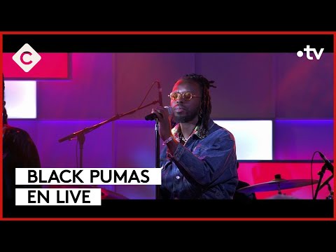 Black Pumas, les nouvelles stars de la soul - C à Vous - 14/03/2024