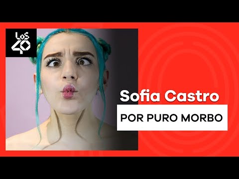 ¿A qué se dedicaba Sofía Castro antes de ser youtuber