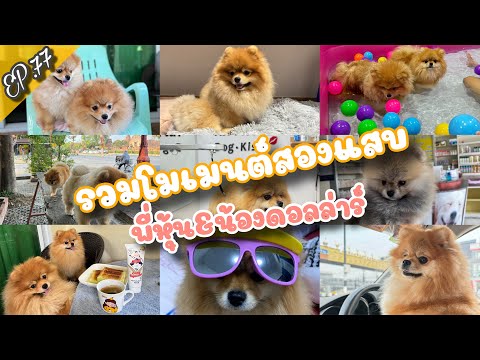 SpecialClip|EP.77รวมคลิปคว