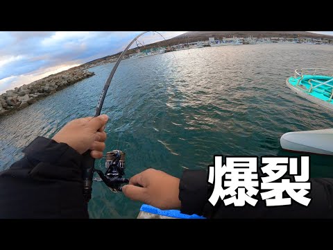 道南ミニロックフィッシュ大会