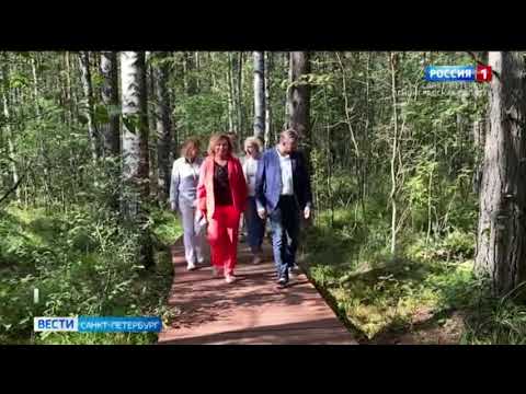 В природном заказнике "Сестрорецкое болото" открыли новую экологическую тропу