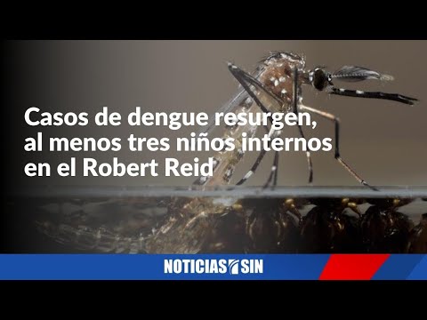 Aumentan los casos de dengue en el país