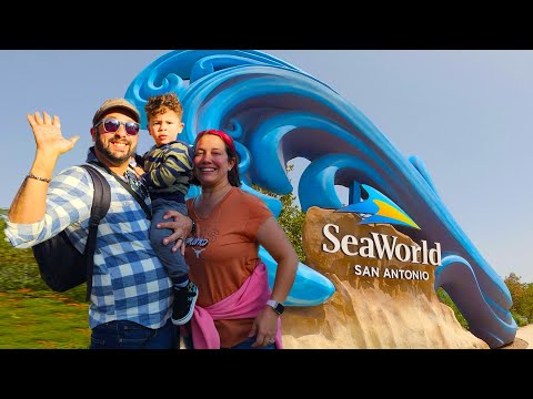 Misión: Visita a SeaWorld de San Antonio, TX