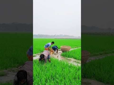 পানির ড্রেইন ভাঙ্গলো কে #funny #comedy #tiktok #viral #foryou