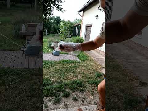 Rozsdafarkú fióka mentés #rozsdafarkú #fióka #mentés