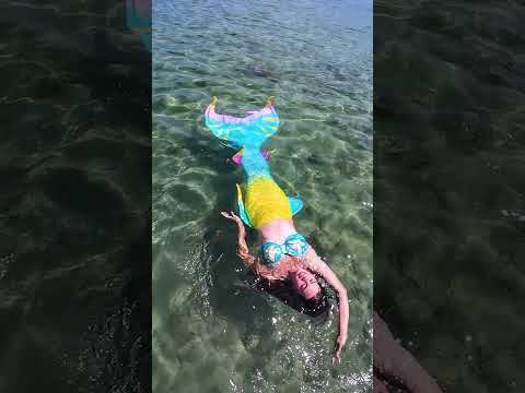 Mermaid Elle Inspired Mermaid Tail by Fin Fun #mermaidelle