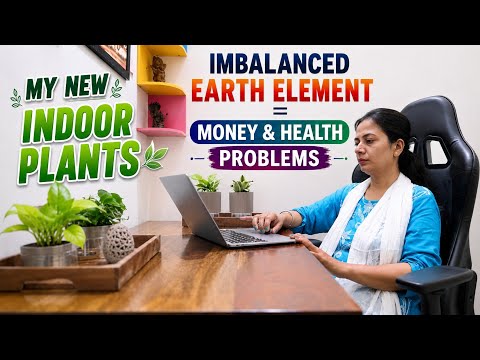 Health & Money Probs? 5 Tips to Balance your Earth Element & Transform your Life Ugaoo Indoor Plants