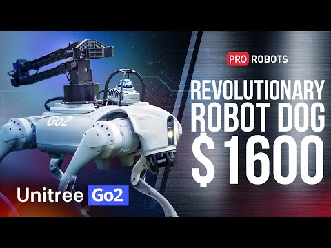 Introducing Unitree Go2 - Quadruped Robot of Embodied AI from ...