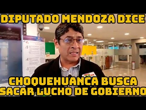 DIPUTADO PATRICIO MENDOZA AGRADECE LA MULTITUDINARIA MOVILIZACIONES EN RESPALDO MAS-IPSP..