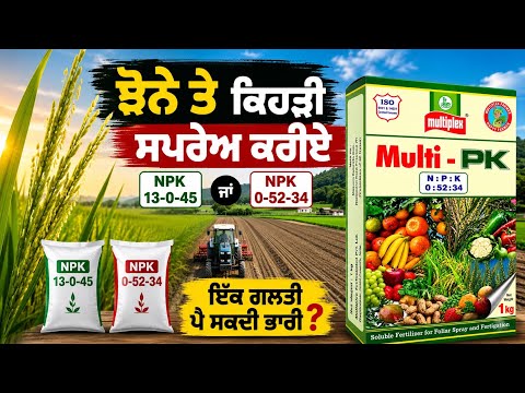 ਝੋਨੇ ਤੇ npk 13-0-<strong>45</strong> ਪਾਈਏ ਜਾ 0-52-34 | best npk multiplex 13-0-<strong>45</strong> | ਝੋਨੇ ਦਾ ਝਾੜ ਆਵੇਗਾ ਬੰਪਰ