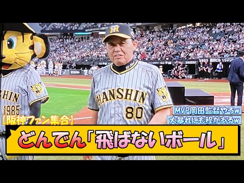 【阪神ファン集合】どんでん「飛ばないボール」【なんJ/2ch/5ch/ネット 反応 まとめ/阪神タイガース/岡田監督】