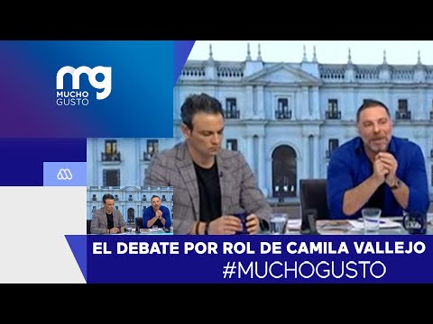 Es una mujer muy inteligente: El debate entre Neme y Gonzalo Ramírez por Camila Vallejo