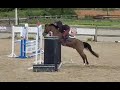 Pony Kwaliteit sportpony dressuur en springen