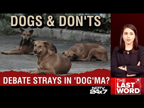 Delhi NCR Stray Dog | SC Order On Stray Dogs: Tough Or Timely?