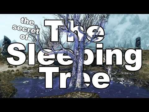 Skyrim: The Secret of the Sleeping Tree