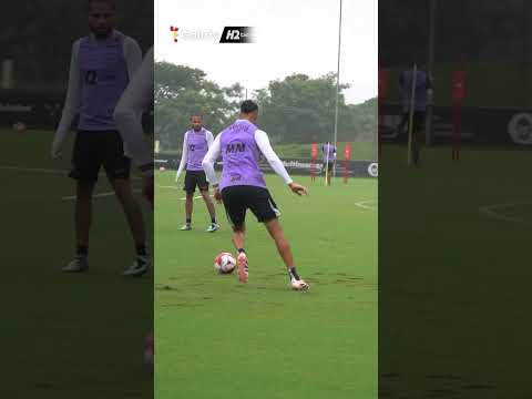 image para ilustrar o artigo