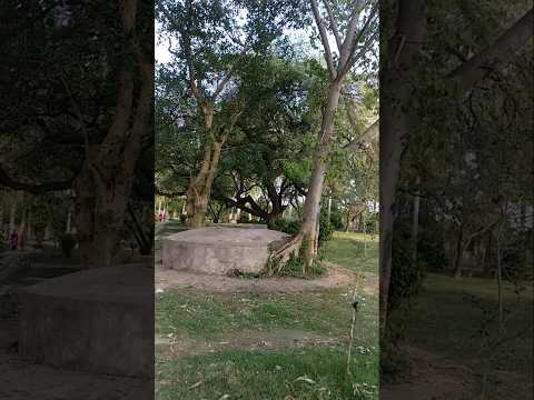 Hidden Gem Of Amritsar (40 wells in one place)