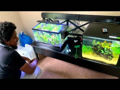 he found his happy place… Peaceful Planted Aquar Planted aquariums and the fish keeping hobby brings him so much joy! One of my longest fish friends 