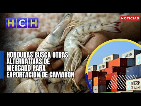 Honduras busca otras alternativas de mercado para exportación de camarón