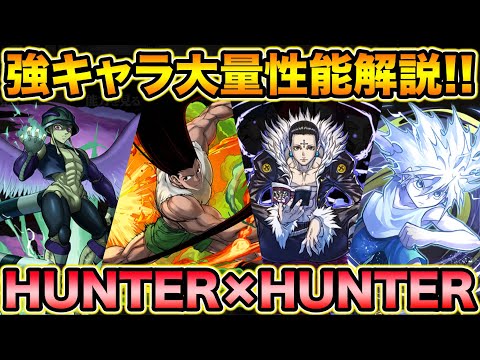 【新規コラボ】HUNTER×HUNTERコラボ性能解説！変身キャラ大量実装＆武器もクソ強い！【スー☆パズドラ】