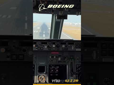 CockpitViewB737LandingatD