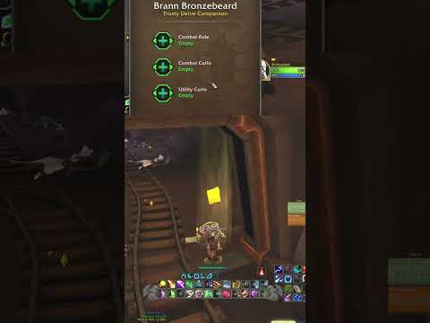 Someone Forgot to Set Up My Brann! | #shorts #funny #fail #worldofwarcraft #delves #zucowow