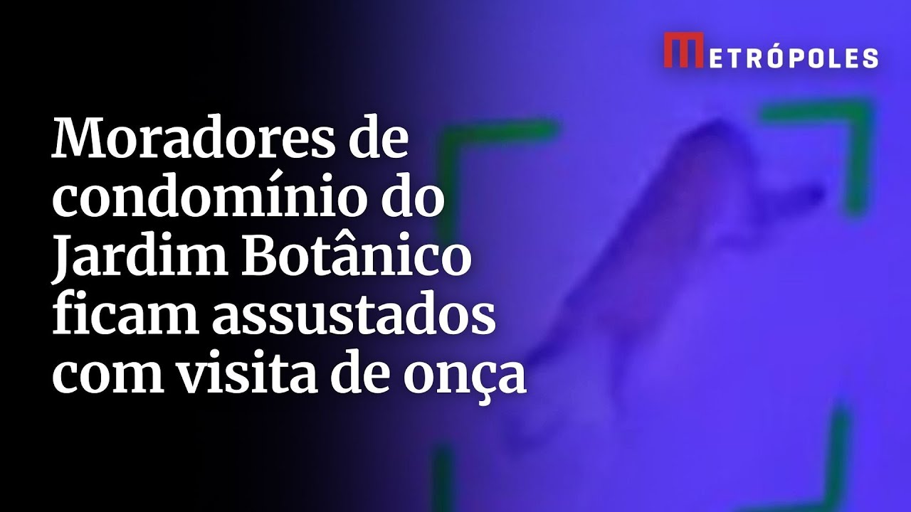 Moradores de condomínio do Jardim Botânico ficam assustados com visita de onça