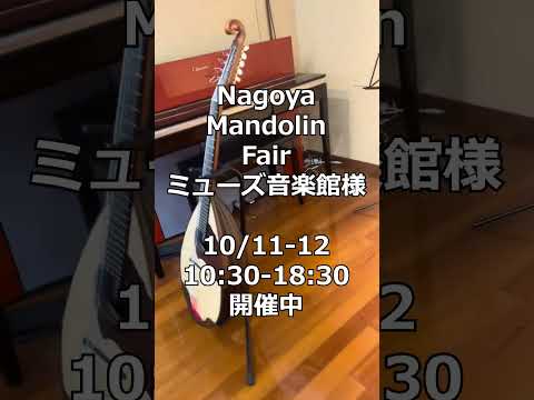 イケガク×ミューズ音楽館 名古屋マンドリンフェア開催中!