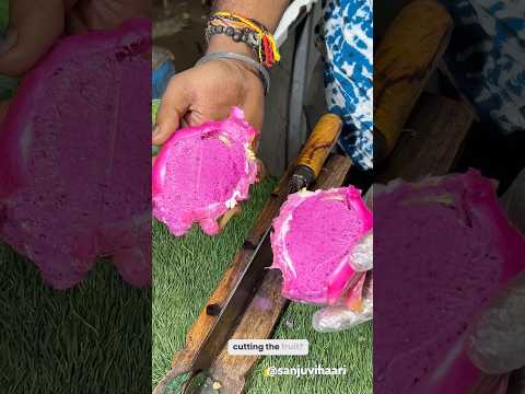 Fruit ice cream 😋#shortvideo#video#viral#trending#vizag#icecream#shorts#youtubeshorts#ytshorts#1m