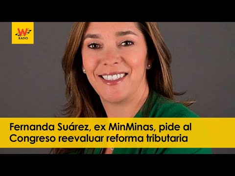 Fernanda Suárez, ex MinMinas, pide al Congreso reevaluar reforma tributaria