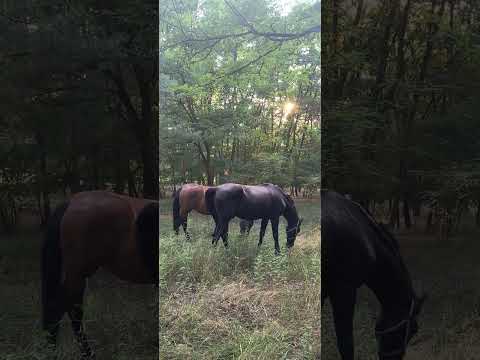 Про любов 💫❤️ 2025 р.