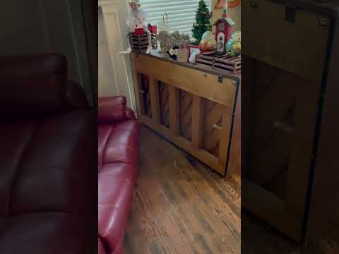 He loves the #packages that keep arriving. #smcfritters #pigsofyoutube