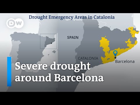 Drought emergency in Barcelona region: How long will residents accept water restrictions? | DW News