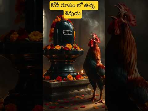 కోడి రూపం లో ఉన్న శివుడి గుడి ఎక్కడుందో మీకు తెలుసా😱/Sri Kukkuteswara temple pithapuram