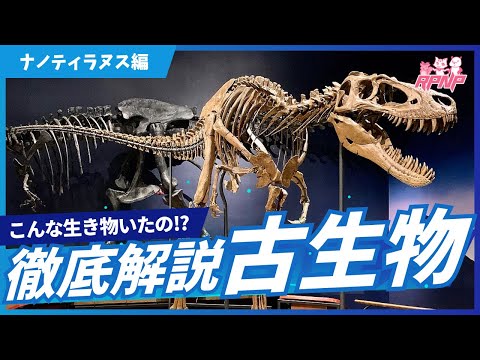 thumbnail_uxc3Z6Yin0Y