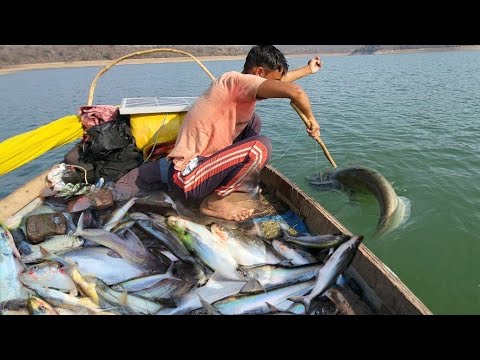 শীতকালের প্রথম প্রথম বল মাসের শিকার অদ্ভুত মাছ ধরা 😮🐠 || আজকের মাছধরা খুবই মজাদার 😍