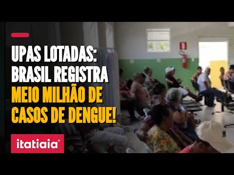 DENGUE ESTOURA NO BRASIL: SÃO PAULO, RIO E BELO HORIZONTE TÊM AUMENTO DE CASOS DA DOENÇA! CONFIRA!