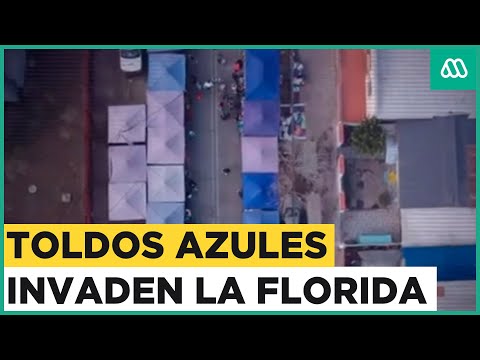 La invasión de los toldos azules: Una pesadilla para los vecinos de La Florida