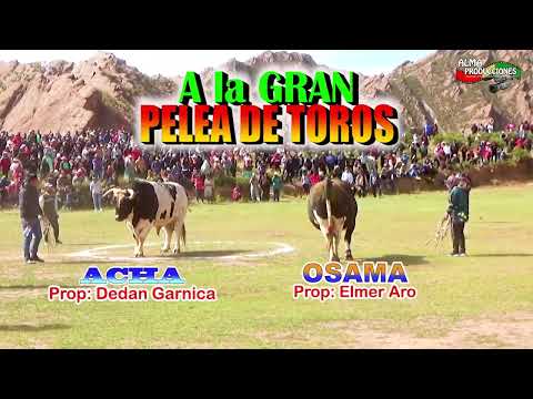 INVITACIÓN a la Pelea de Toros HUACANAPI 2024. (Video Oficial) de ALPRO BO.