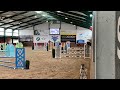 Cheval de CSO Ervaren springpaard te koop