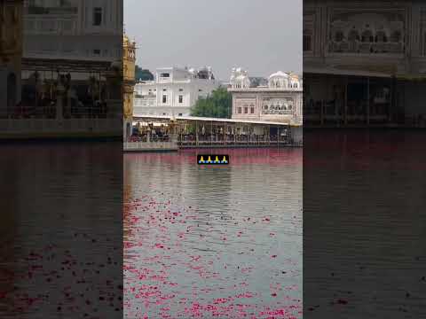 #waheguruji #waheguruji #waheguruji #waheguruji #waheguruji #wmkji 🙏🙇🤲🙏🙏🙏🙏🙏